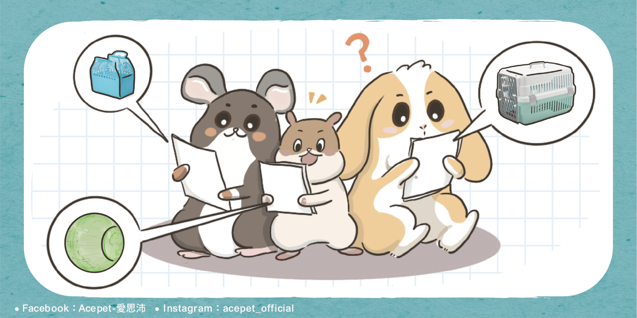 圖文-寵物用品零售選品指南.png2