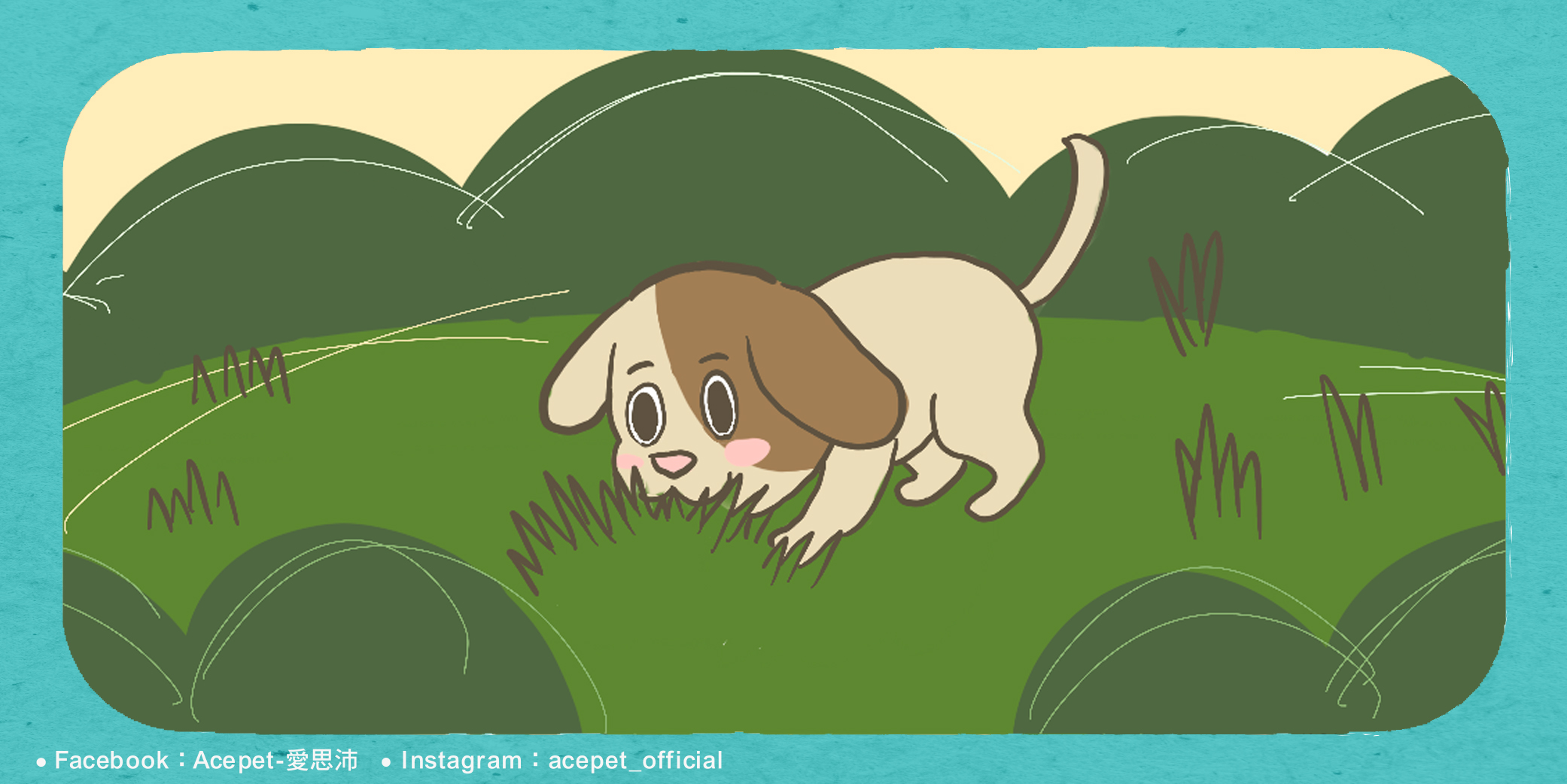 狗狗吃草SEO 狗狗吃草SEO