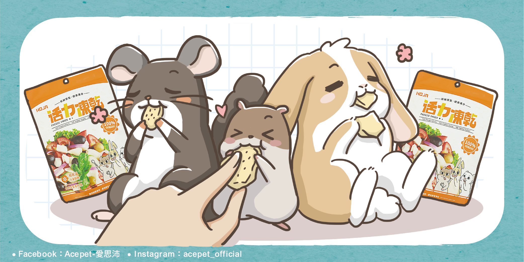 寵物零食_工作區域 1