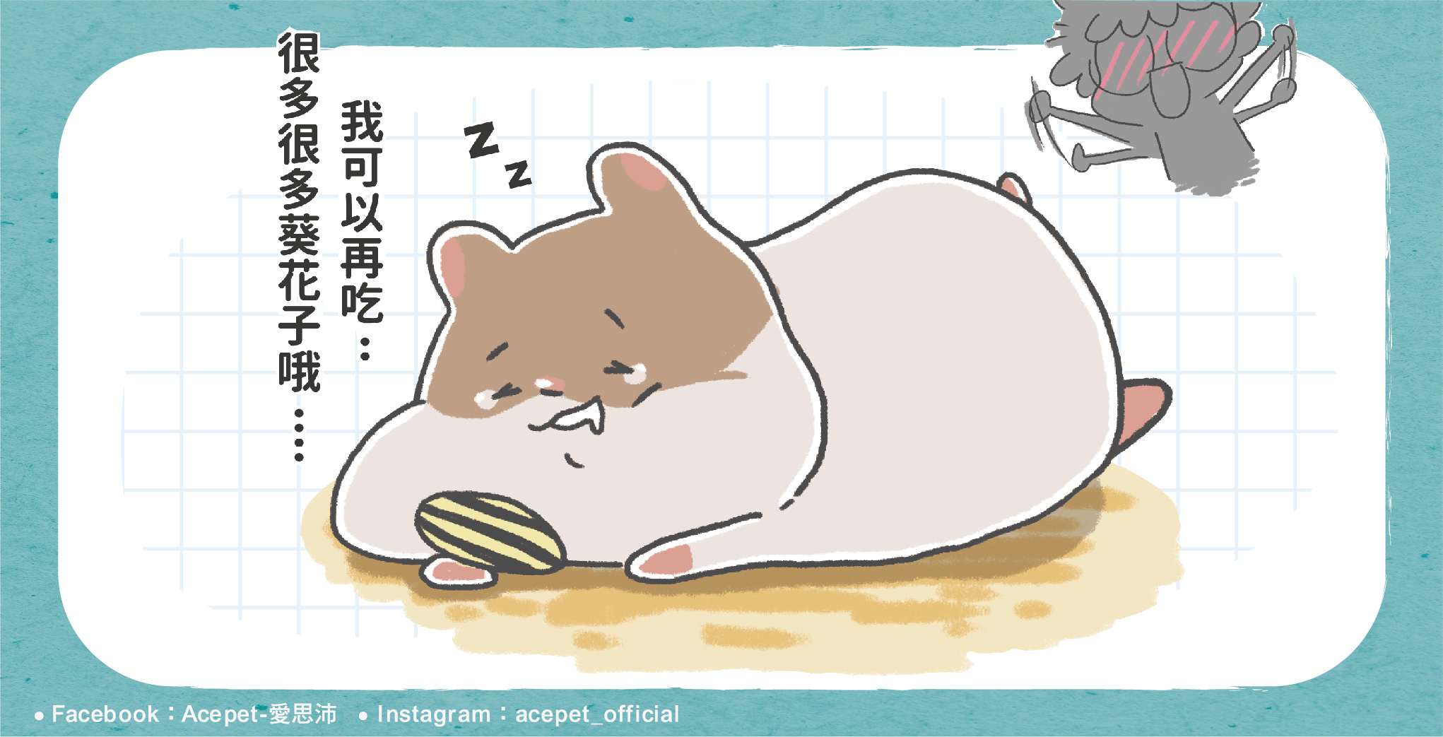 🐹倉鼠到底多愛睡?! 😴💤-Acepet愛思沛