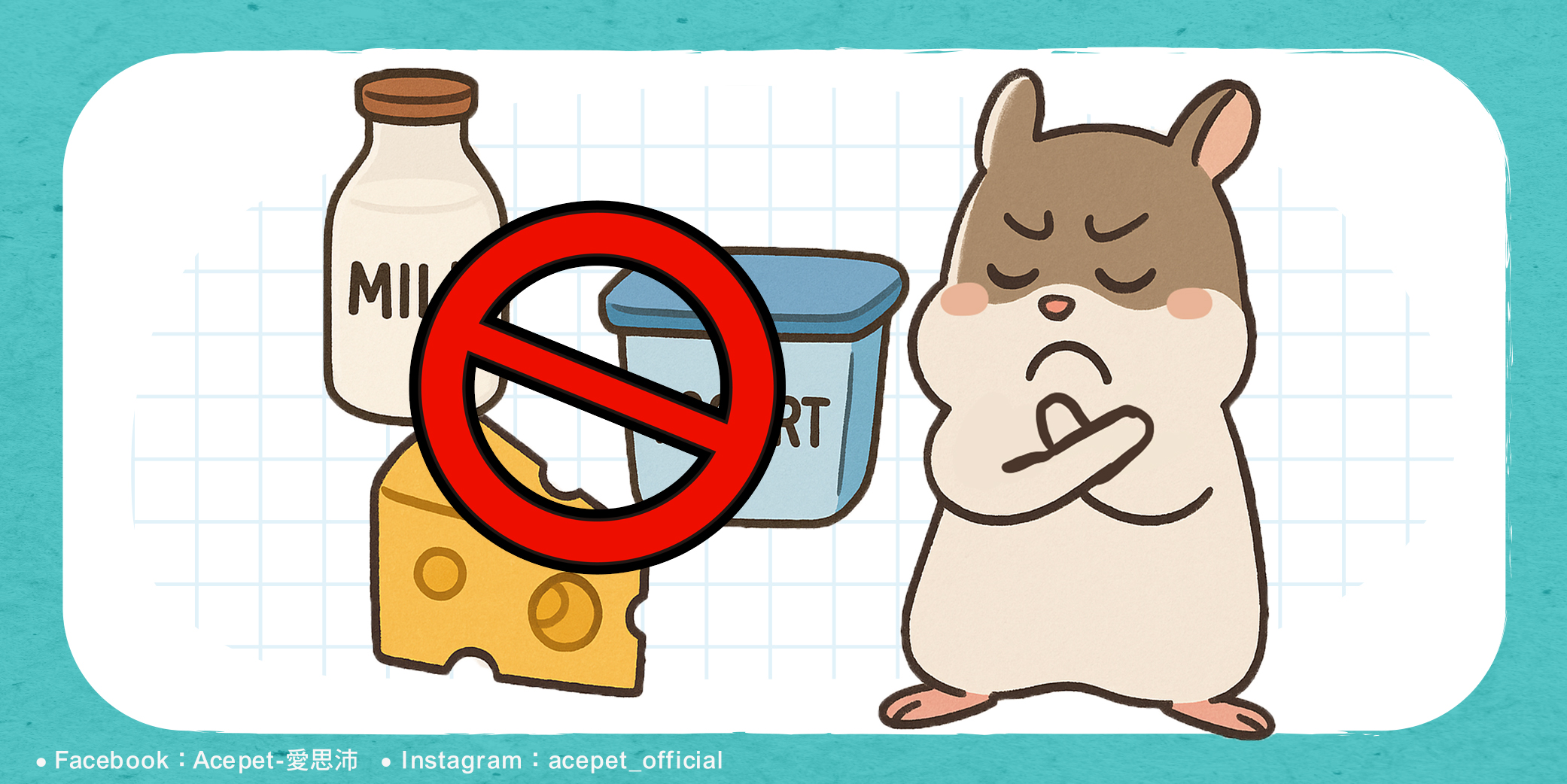 倉鼠乳糖不耐SEO 倉鼠乳糖不耐SEO