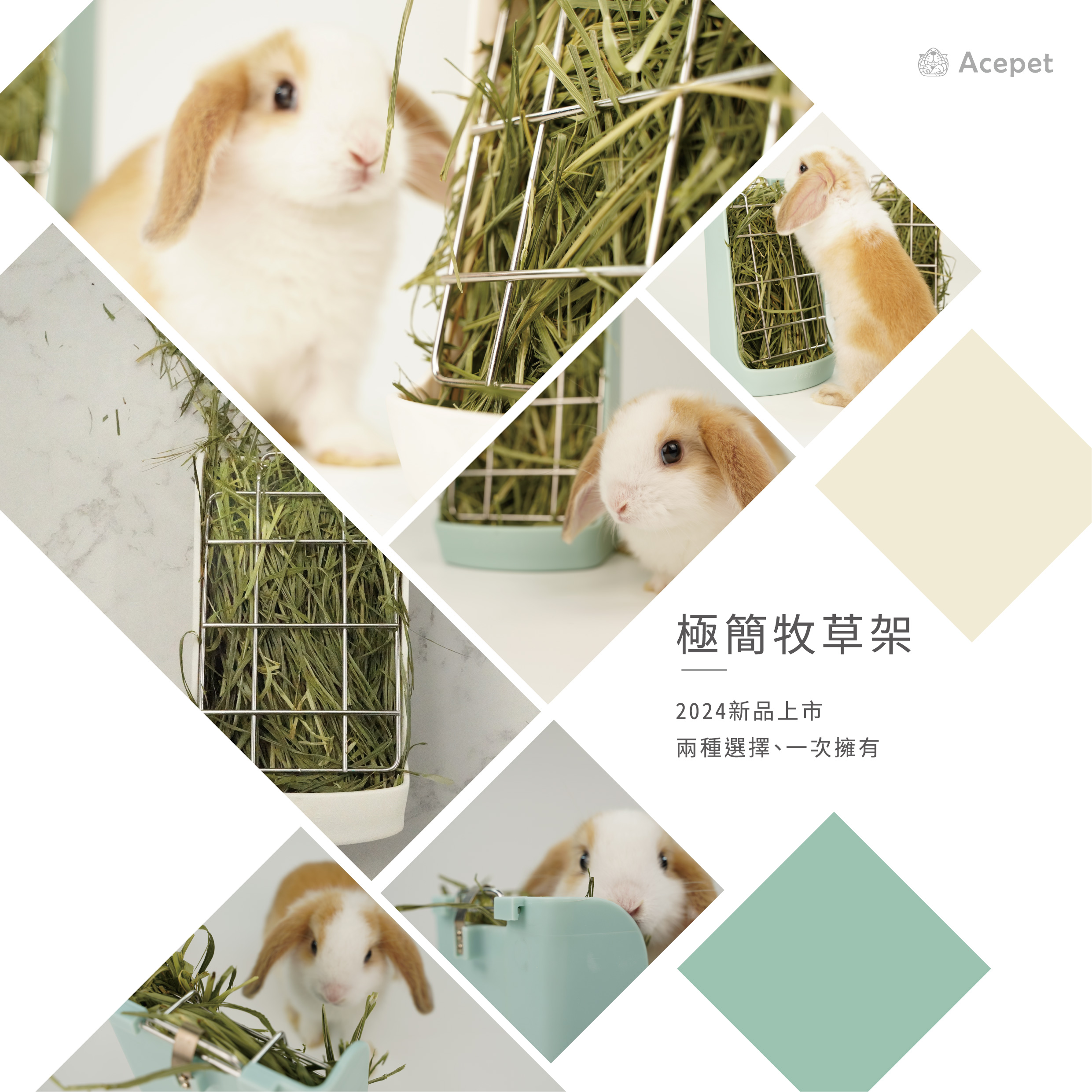 763-A形象-01 763-A形象-01