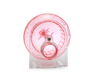 Exercise Wheel