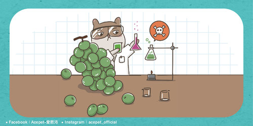 葡萄有毒_工作區域 1