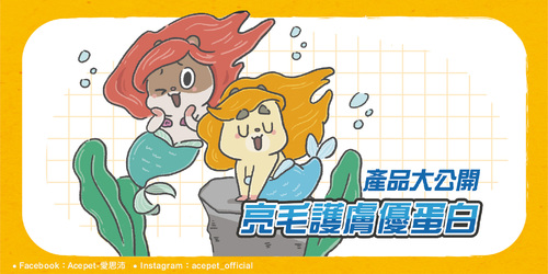 網頁_產品_工作區域 1