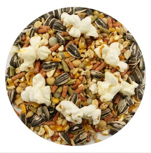 Hamster Food