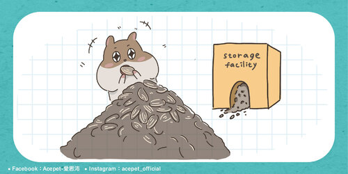 倉鼠囤積_工作區域 1