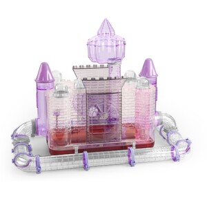 Dream Castle (With Moat)