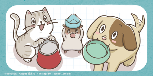 寵物碗_工作區域 1_工作區域 1