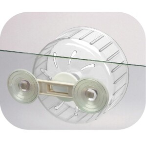 Exercise Wheel (with a set of sucker)