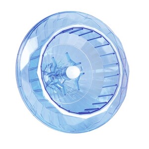 Exercise Wheel