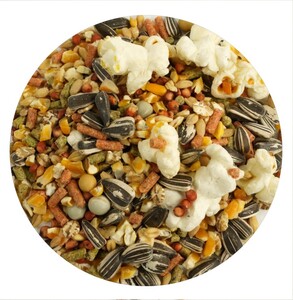 Hamster Food