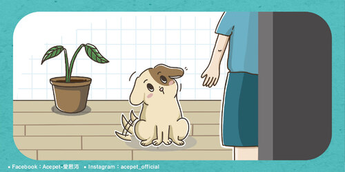 狗狗為甚麼會歪頭_工作區域 1