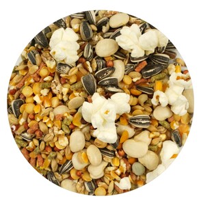 Hamster Food