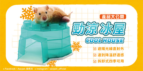 網頁_產品_工作區域 1