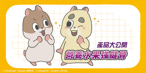 網頁_產品_工作區域 1