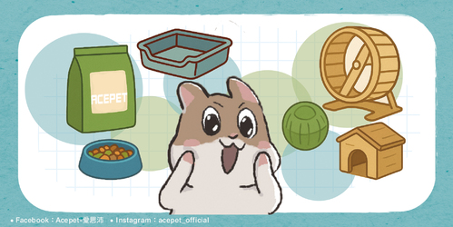 小動物食品與配件批發指南