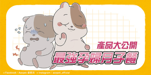 網頁_產品_工作區域 1