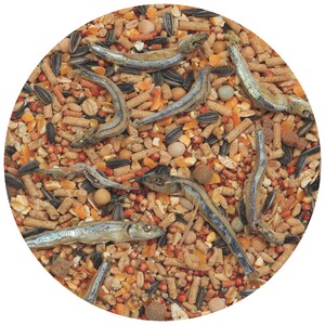 Hamster Food