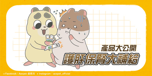 網頁_產品_工作區域 1