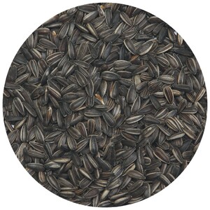 Sunflower Seeds