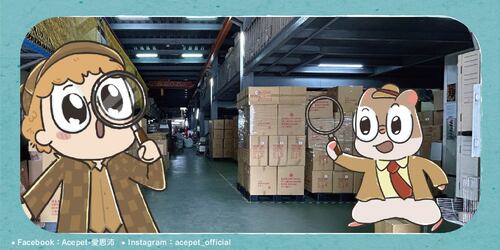 挑選合適的寵物用品批發工廠2