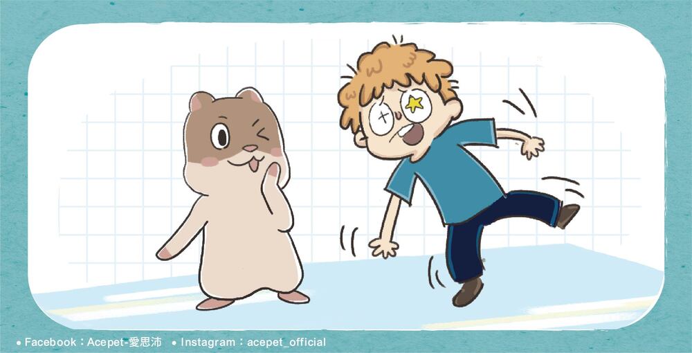 Picture of Hamster Feet Have Anti-Slip Powers!? Big Survival Skills in Tiny Paws ...